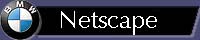 Brows the page in Netscape Navigator/Communicator